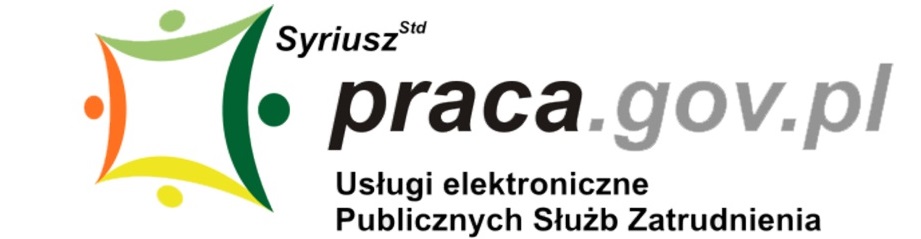 PSZ usługi elektroniczne