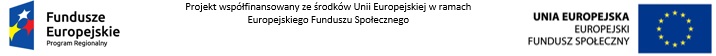 logotyp współfinansowania ze środków unii europejskiej